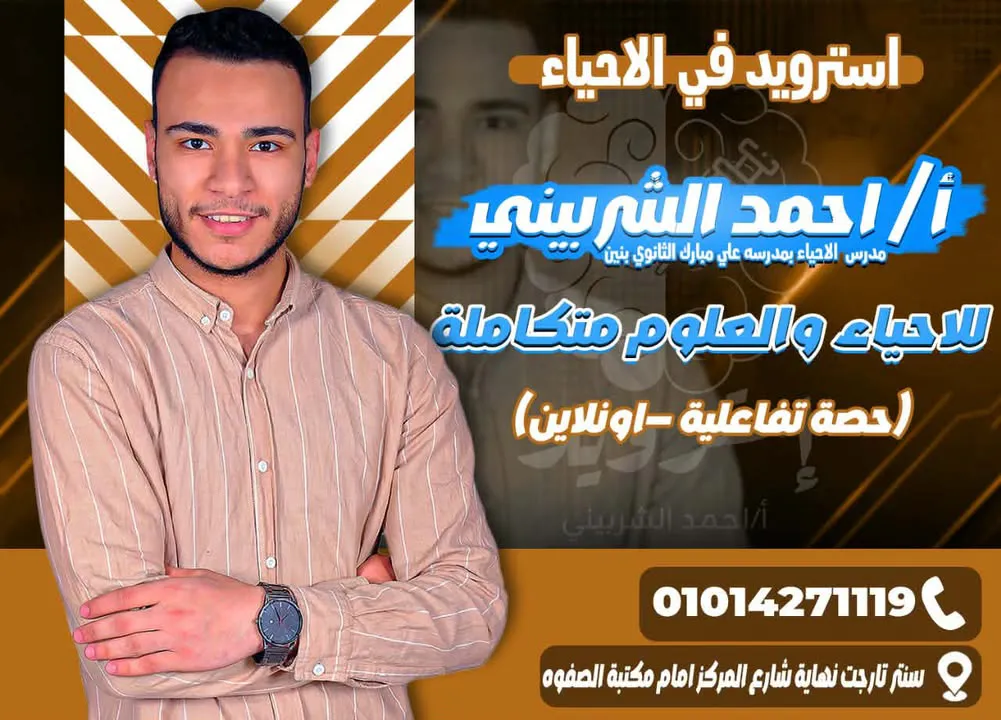 أ/ أحمد الشربيني