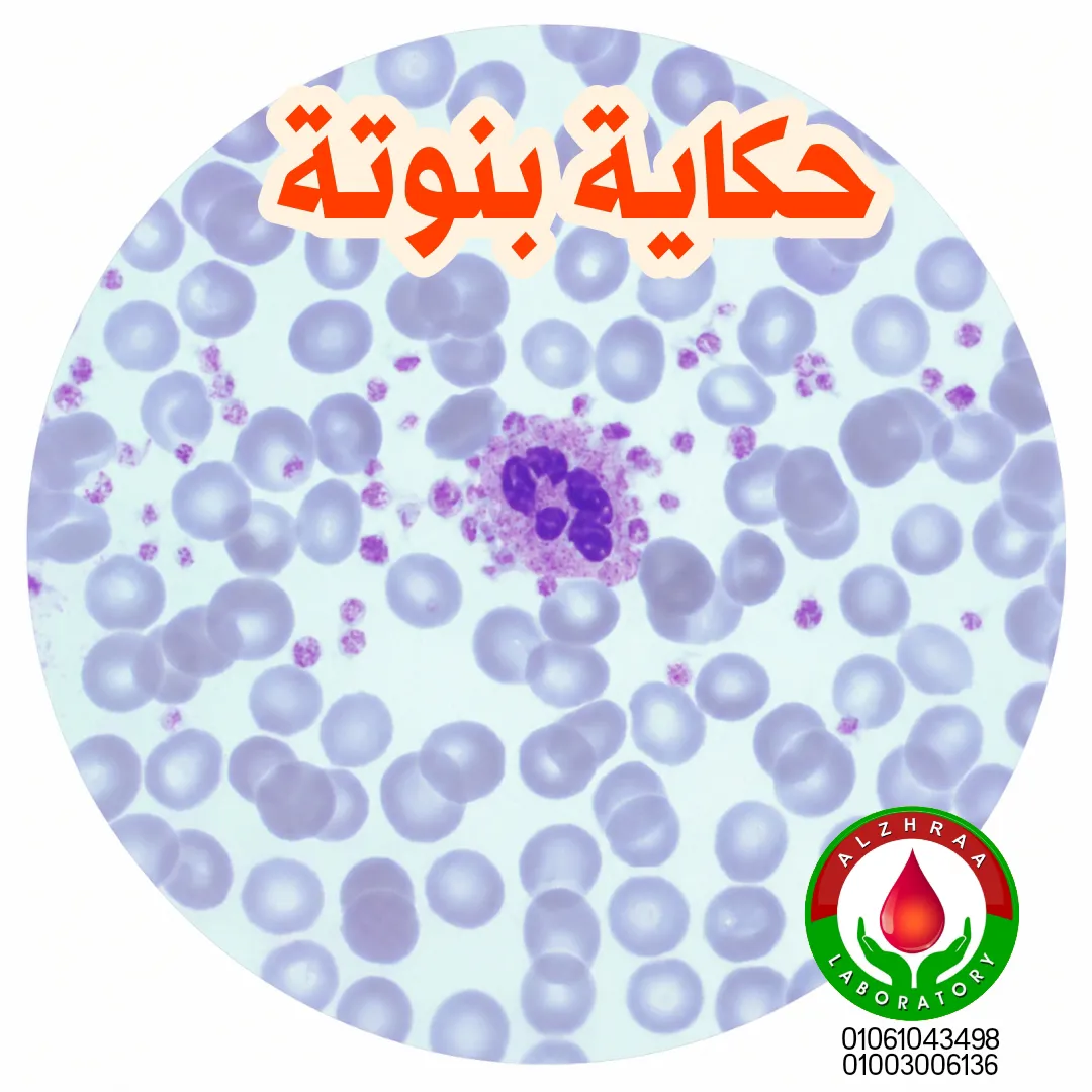 معمل الزهراء للتحاليل الطبية