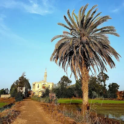 مسجد الشيخ شاور