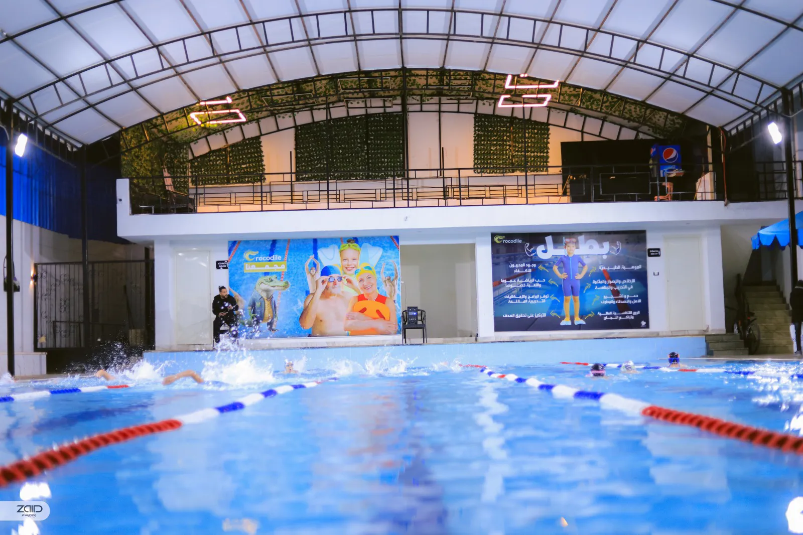 Crocodile Club
